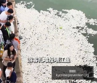 赛季意甲预,那不勒斯破,解魔咒在望,开云体育官网,开云体育App,开云体育下载,开云体育登录,开云体育平台