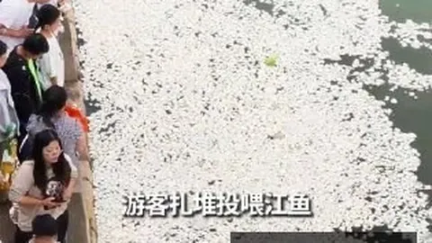 2026赛季意甲预测：那不勒斯破解魔咒在望，国际米兰强势回归解析